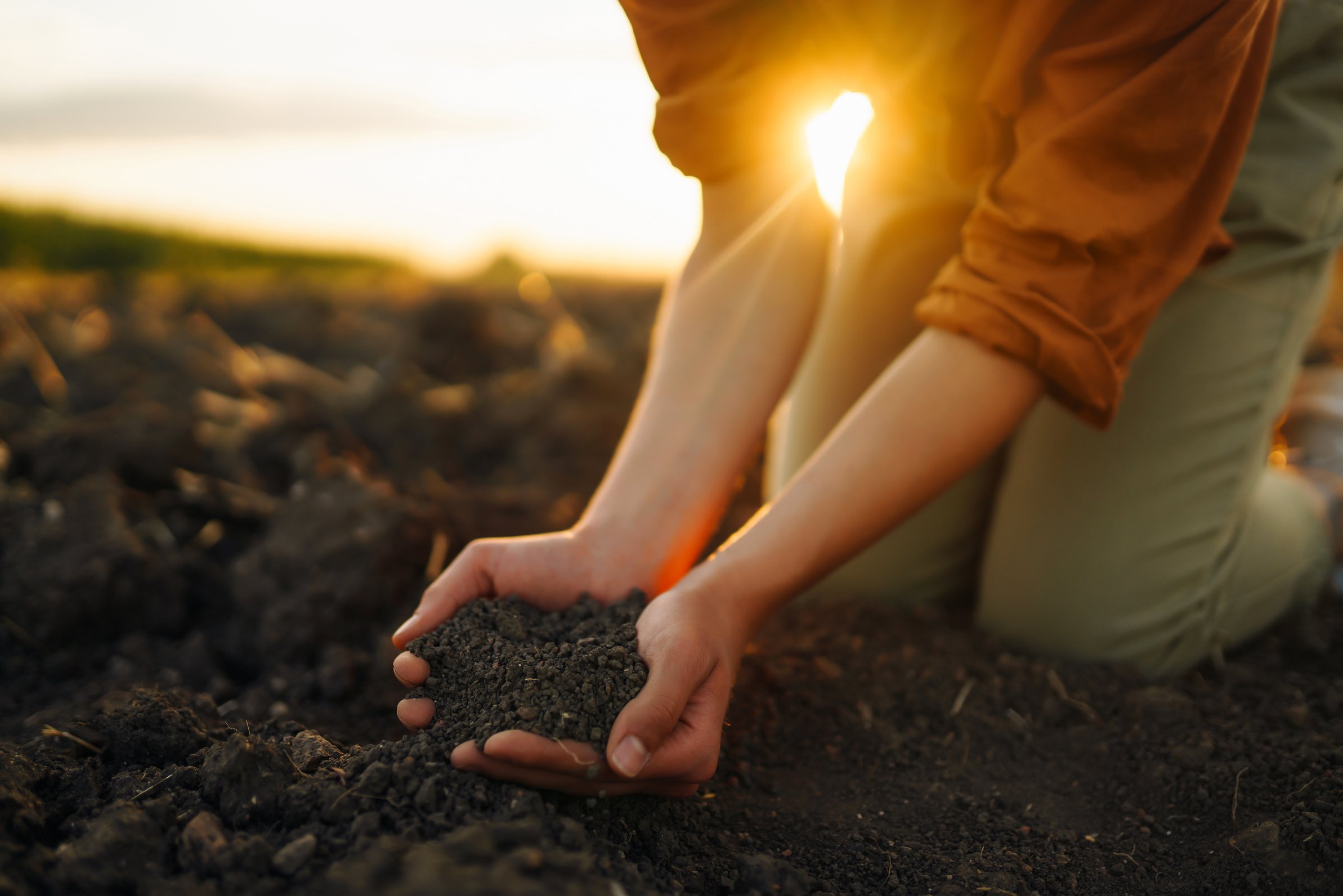 Woman farmer's hand touch soil, check its health before growing vegetables. Concept of agriculture.